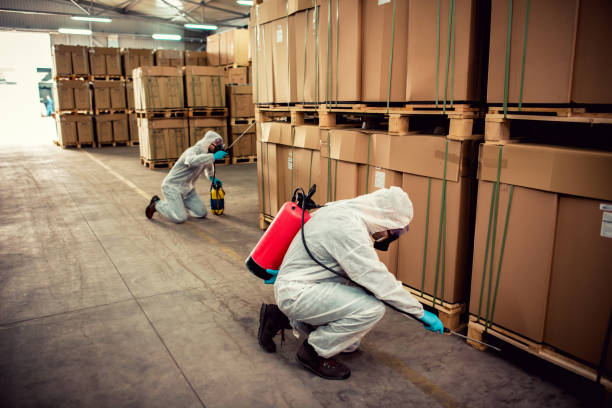 Best Pest Control Near Me in Woodlynne, NJ