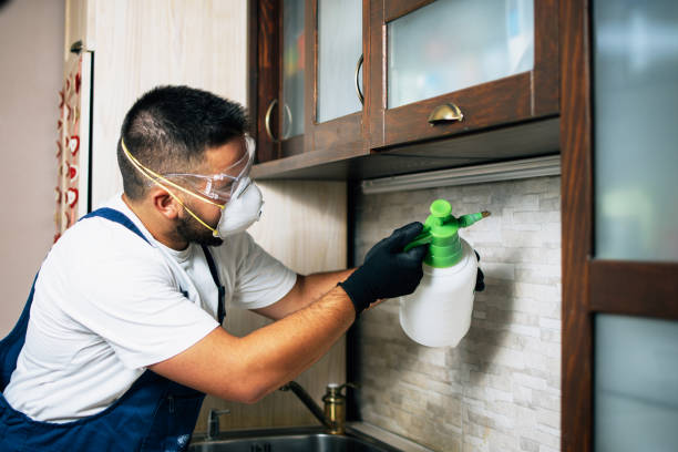 Best Local Pest Control Services  in Woodlynne, NJ