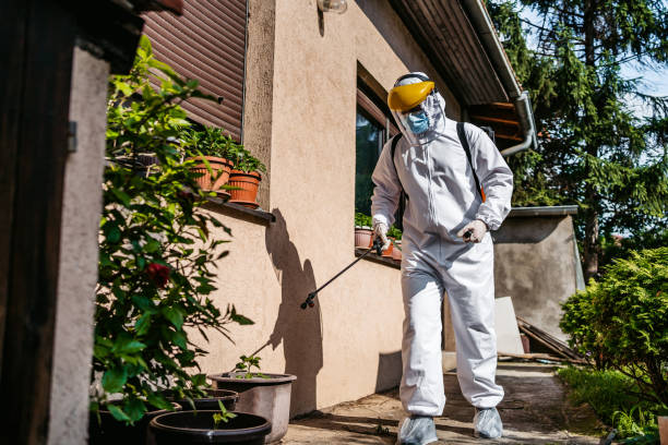 Insect Control in Woodlynne, NJ