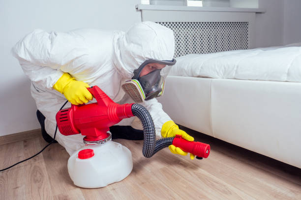 Best Residential Pest Control  in Woodlynne, NJ