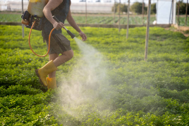 Best Pest Control Cost  in Woodlynne, NJ