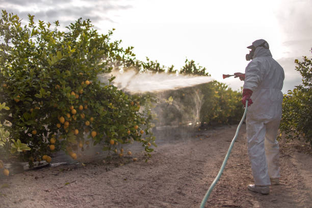 Best Best Pest Control Companies  in Woodlynne, NJ