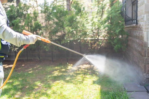 Best Bed Bug Extermination  in Woodlynne, NJ