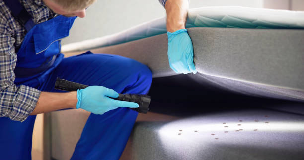 Professional Pest Control in Woodlynne, NJ
