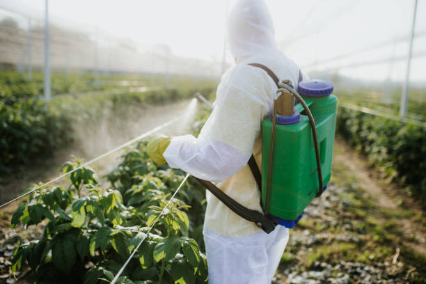 Best Exterminator Services  in Woodlynne, NJ